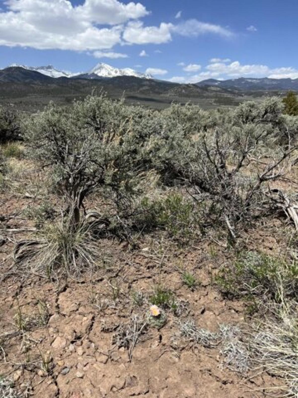 Picture of Residential Land For Sale in Fort Garland, Colorado, United States