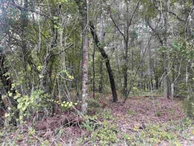 Residential Land For Sale in Conway, South Carolina