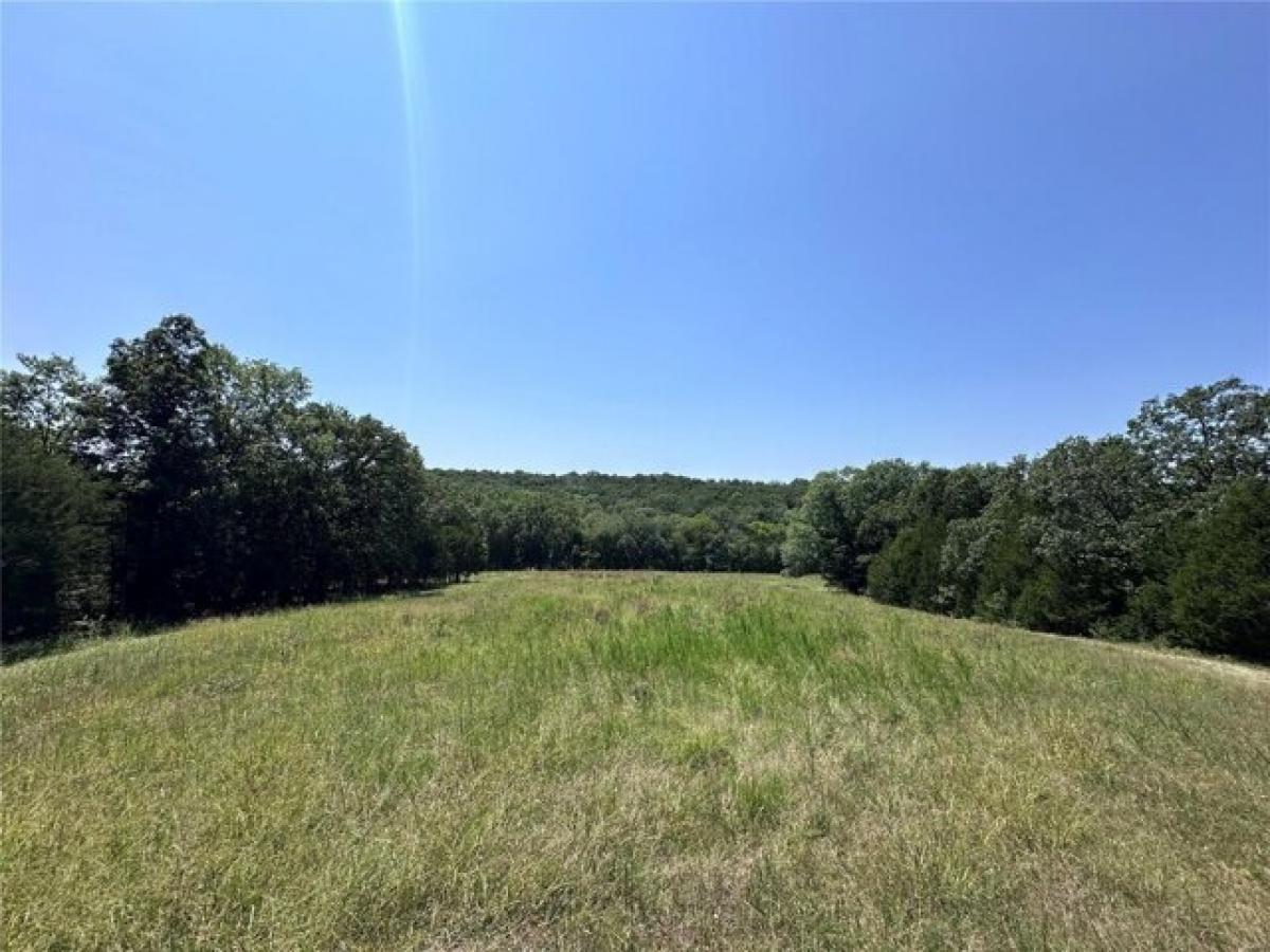 Picture of Residential Land For Sale in Festus, Missouri, United States