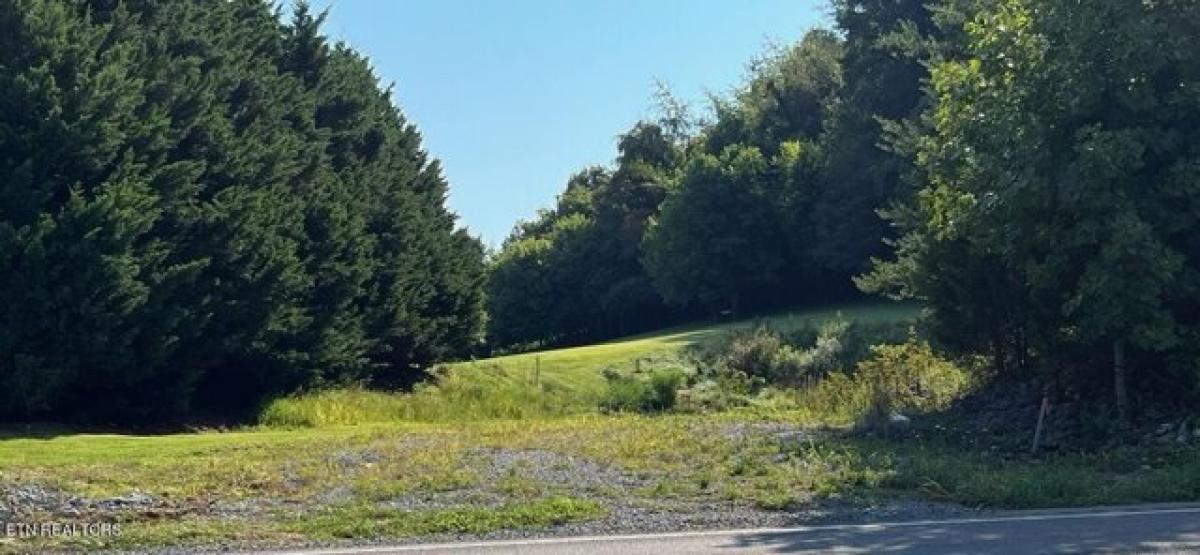 Picture of Residential Land For Sale in Greeneville, Tennessee, United States