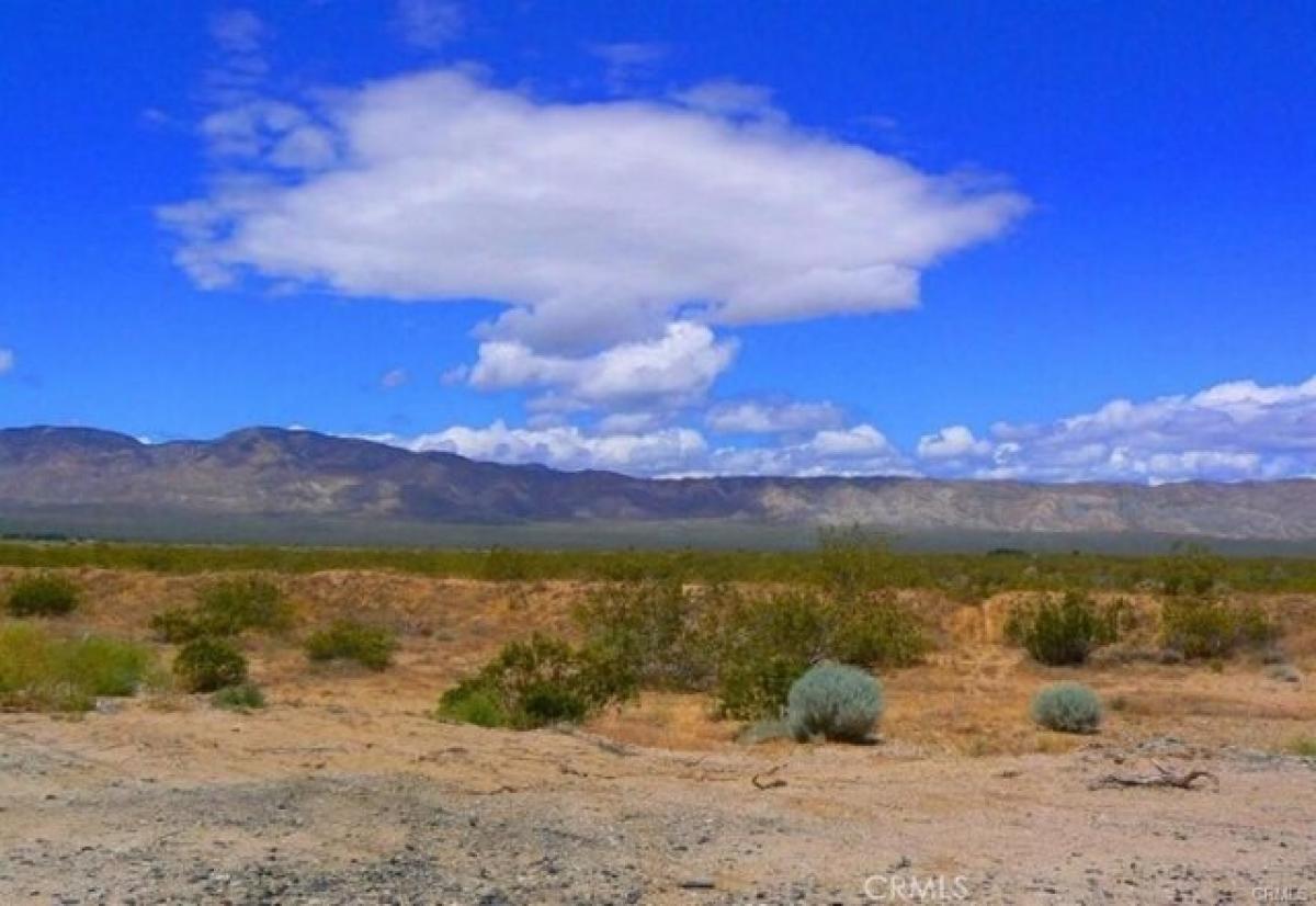 Picture of Residential Land For Sale in Mojave, California, United States