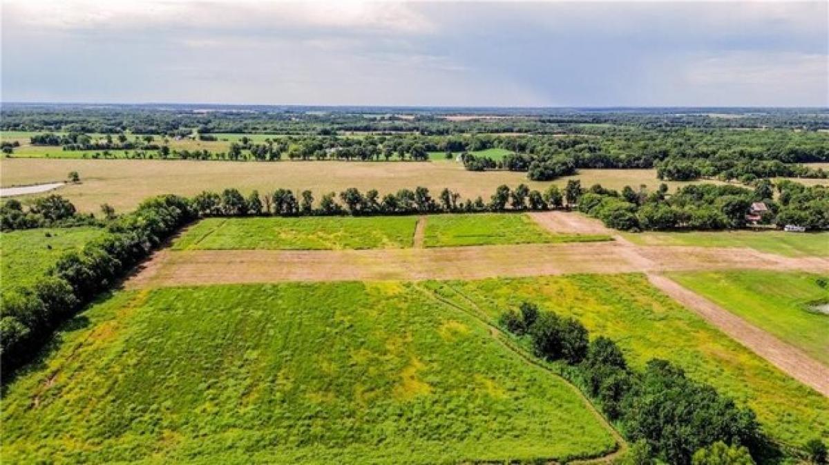 Picture of Residential Land For Sale in Bronaugh, Missouri, United States