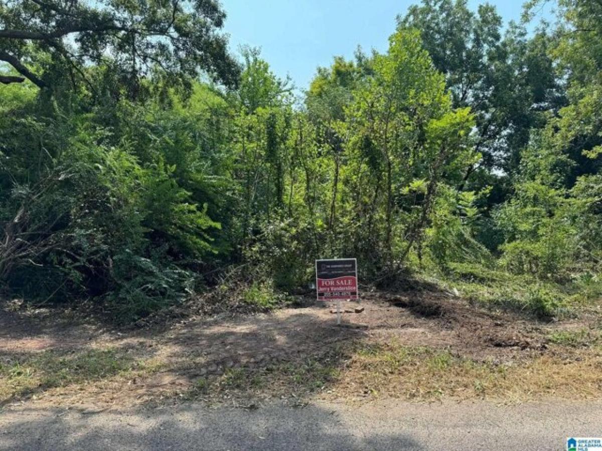 Picture of Residential Land For Sale in Adamsville, Alabama, United States