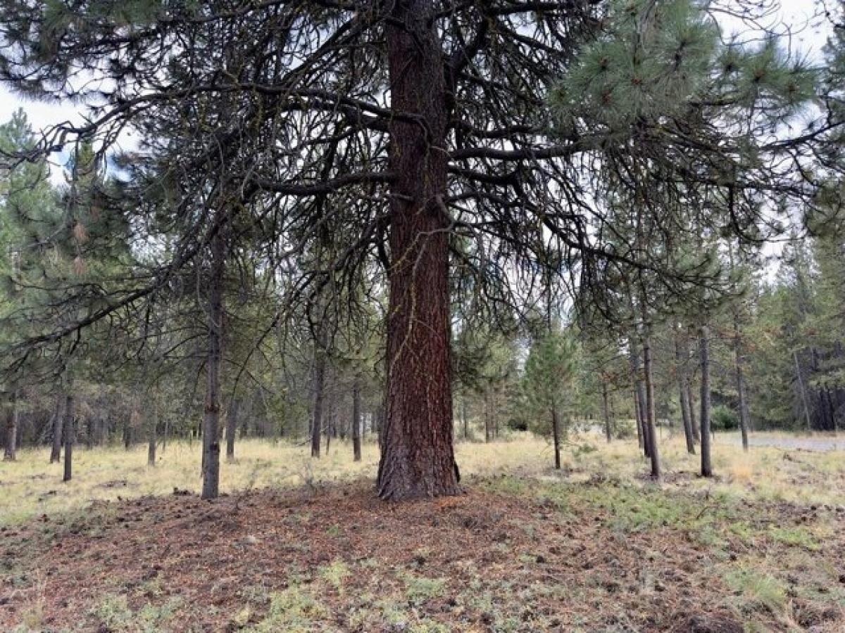 Picture of Residential Land For Sale in Bend, Oregon, United States