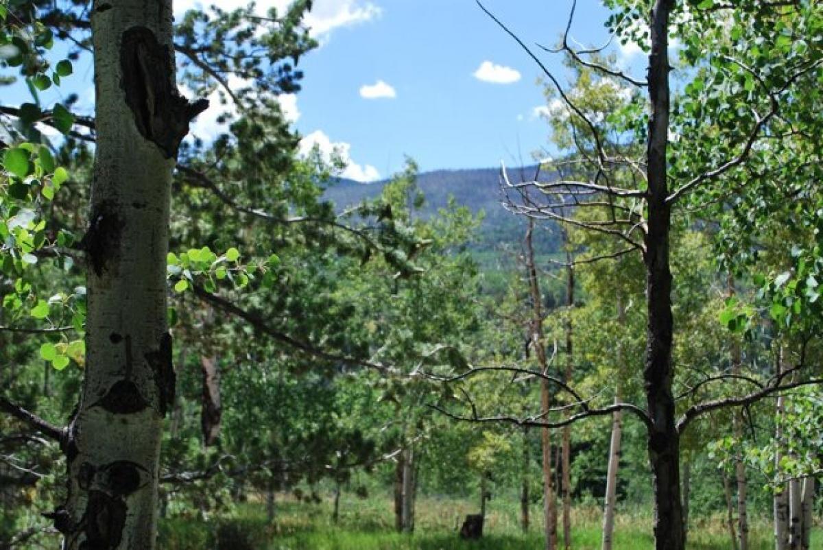 Picture of Residential Land For Sale in La Veta, Colorado, United States