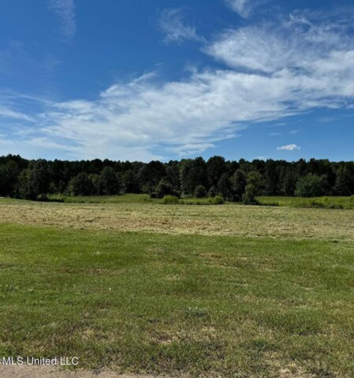 Picture of Residential Land For Sale in Brandon, Mississippi, United States