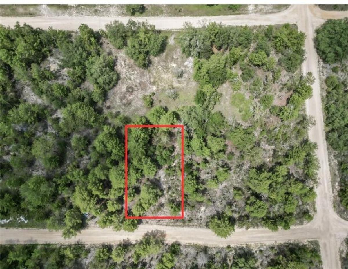 Picture of Residential Land For Rent in Interlachen, Florida, United States