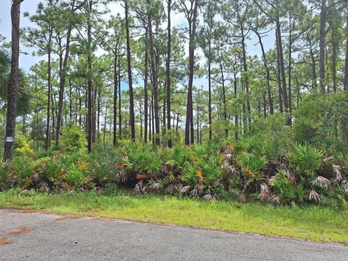 Picture of Residential Land For Sale in Crystal River, Florida, United States