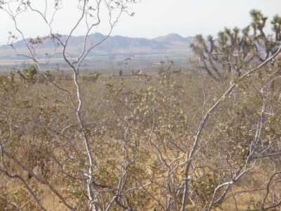 Residential Land For Sale in Llano, California