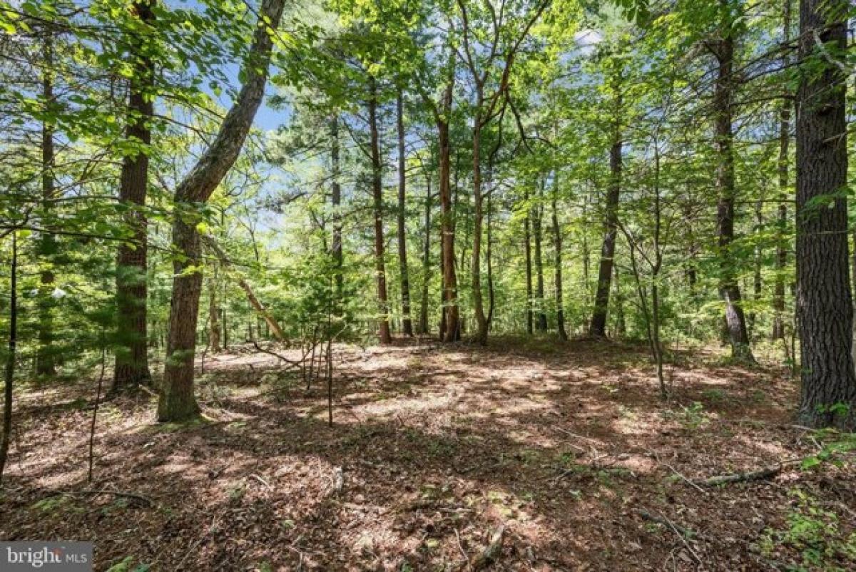 Picture of Residential Land For Sale in Hedgesville, West Virginia, United States