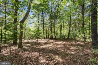 Residential Land For Sale in Hedgesville, West Virginia