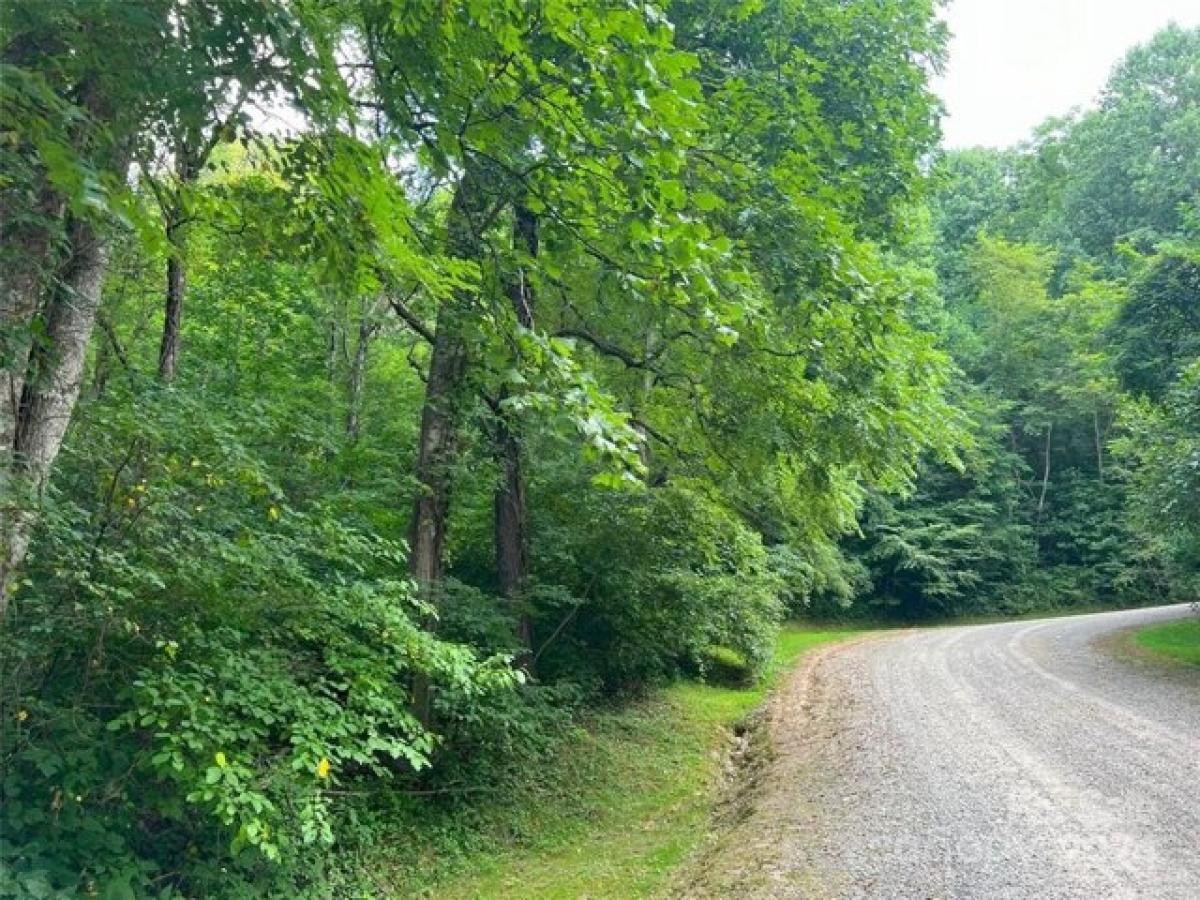 Picture of Residential Land For Sale in Waynesville, North Carolina, United States