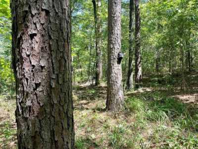 Residential Land For Sale in Havana, Arkansas