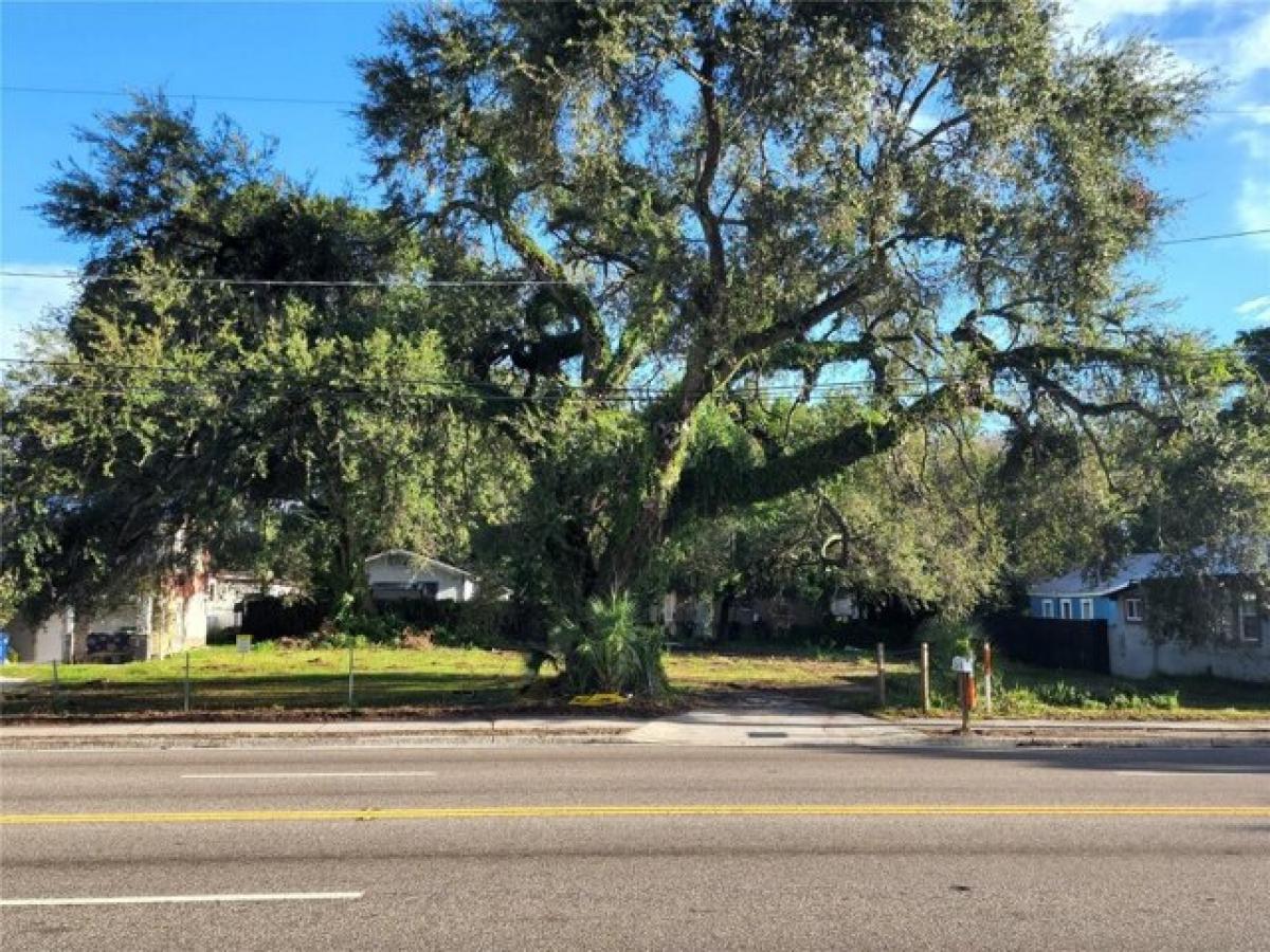 Picture of Residential Land For Sale in Tampa, Florida, United States