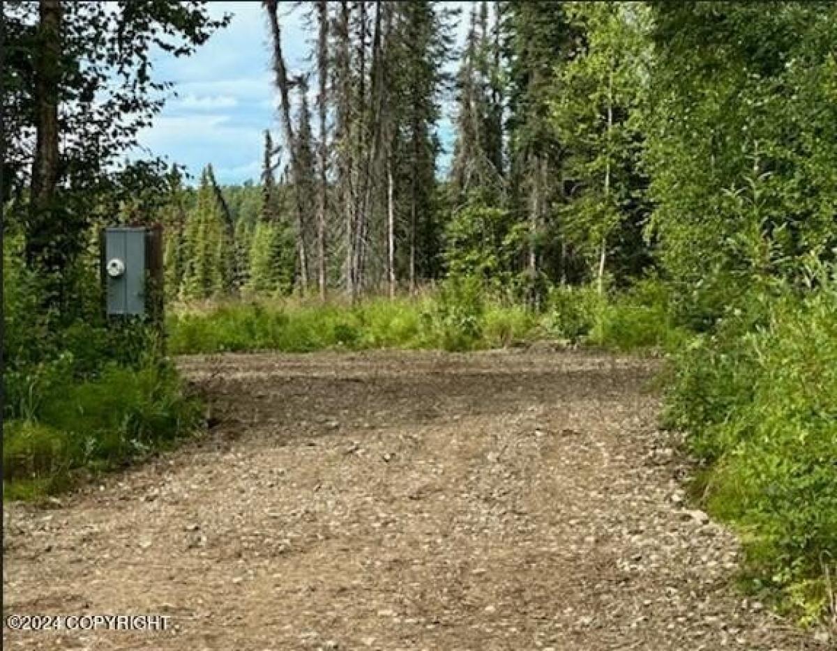 Picture of Residential Land For Sale in Willow, Alaska, United States