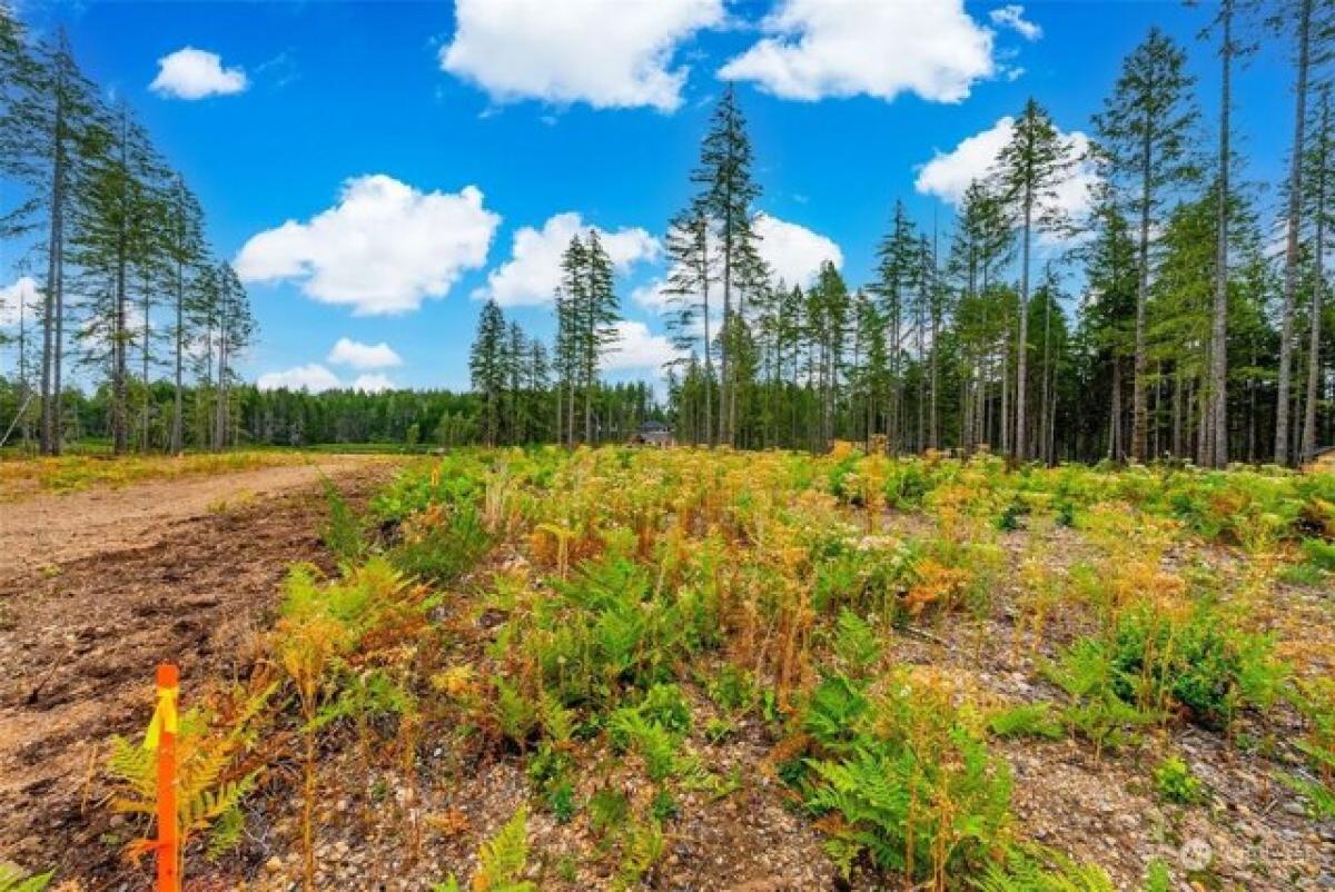 Picture of Residential Land For Sale in Shelton, Washington, United States