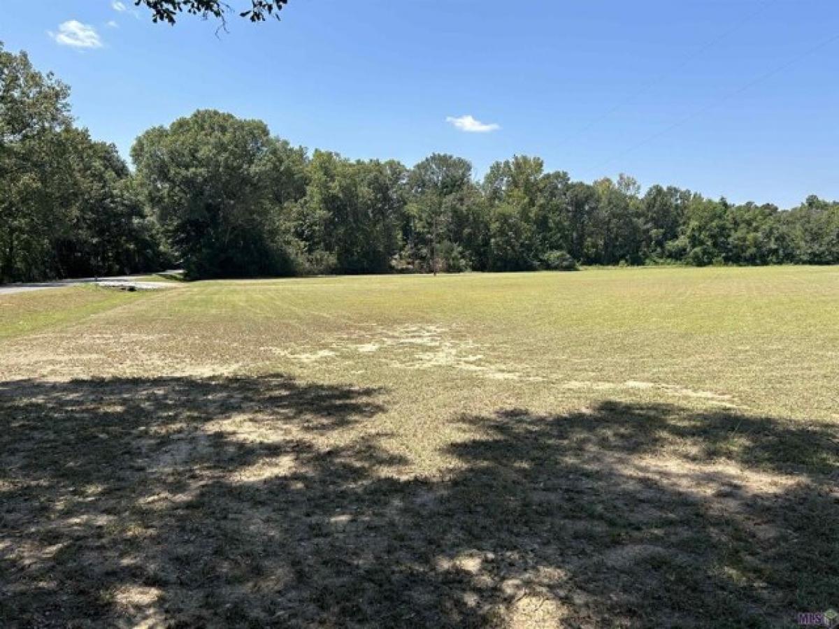 Picture of Residential Land For Sale in Slaughter, Louisiana, United States