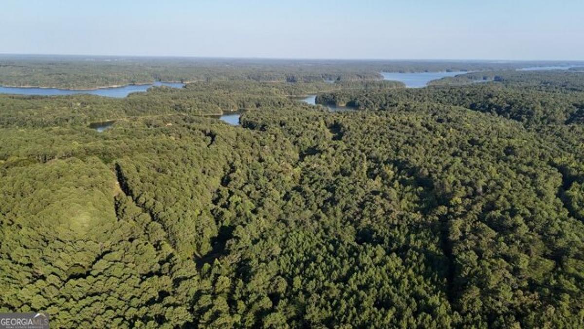 Picture of Residential Land For Sale in Elberton, Georgia, United States