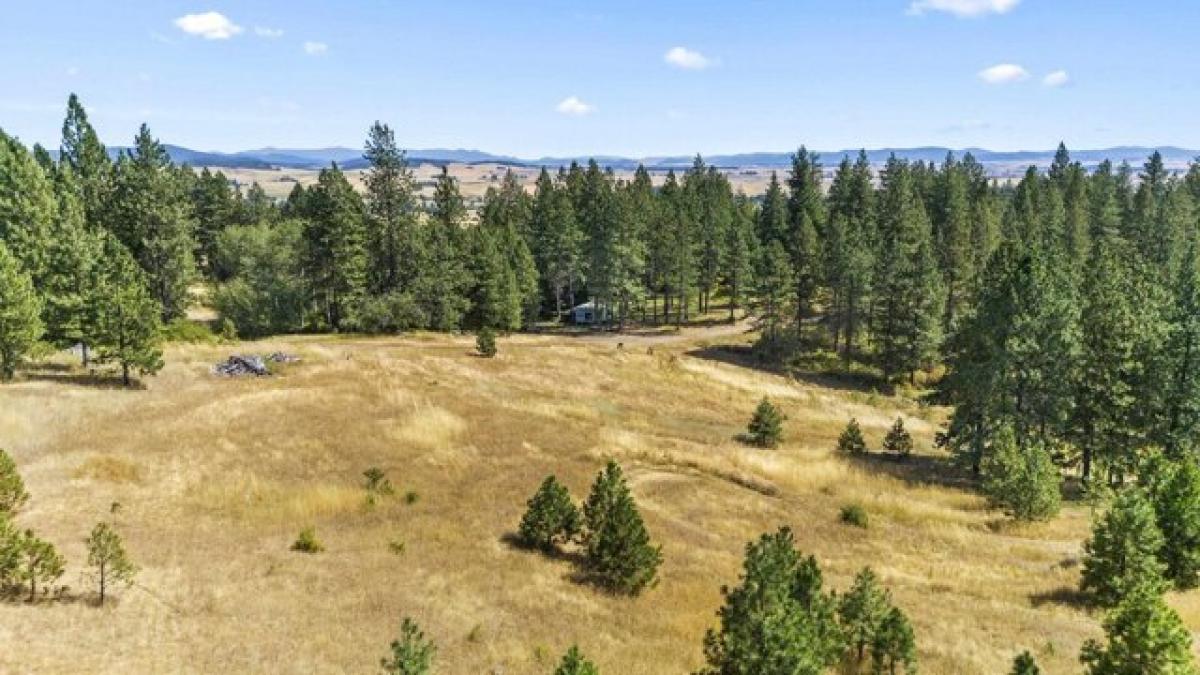 Picture of Residential Land For Sale in Rockford, Washington, United States