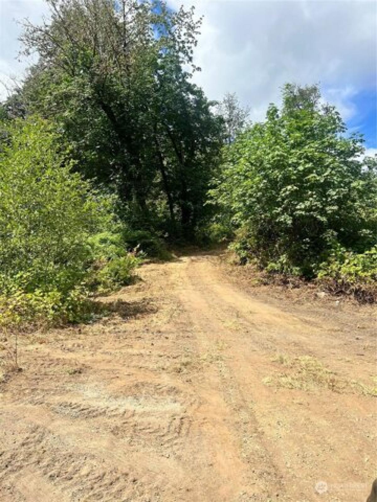 Picture of Residential Land For Sale in Longview, Washington, United States