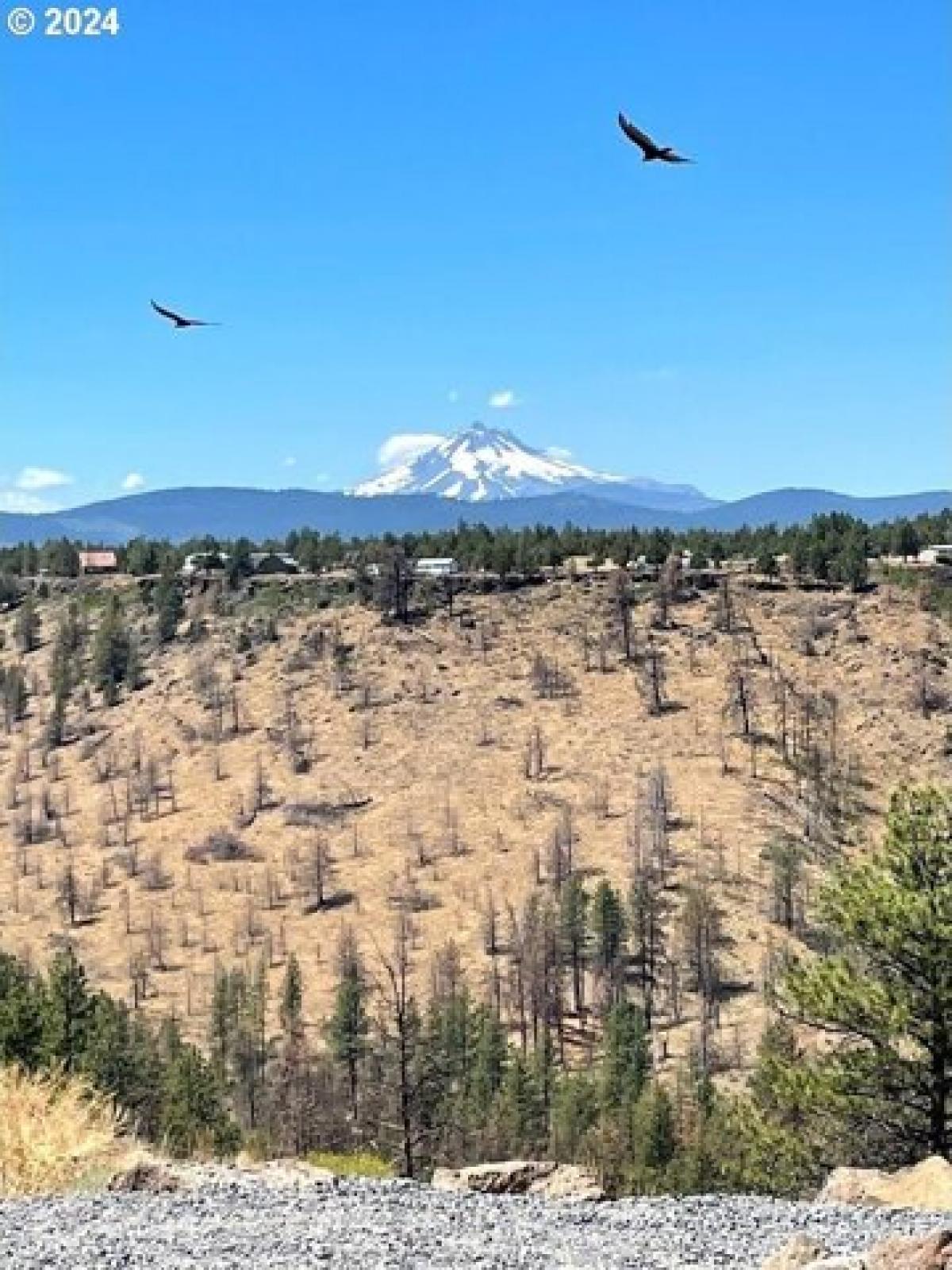 Picture of Residential Land For Sale in Culver, Oregon, United States