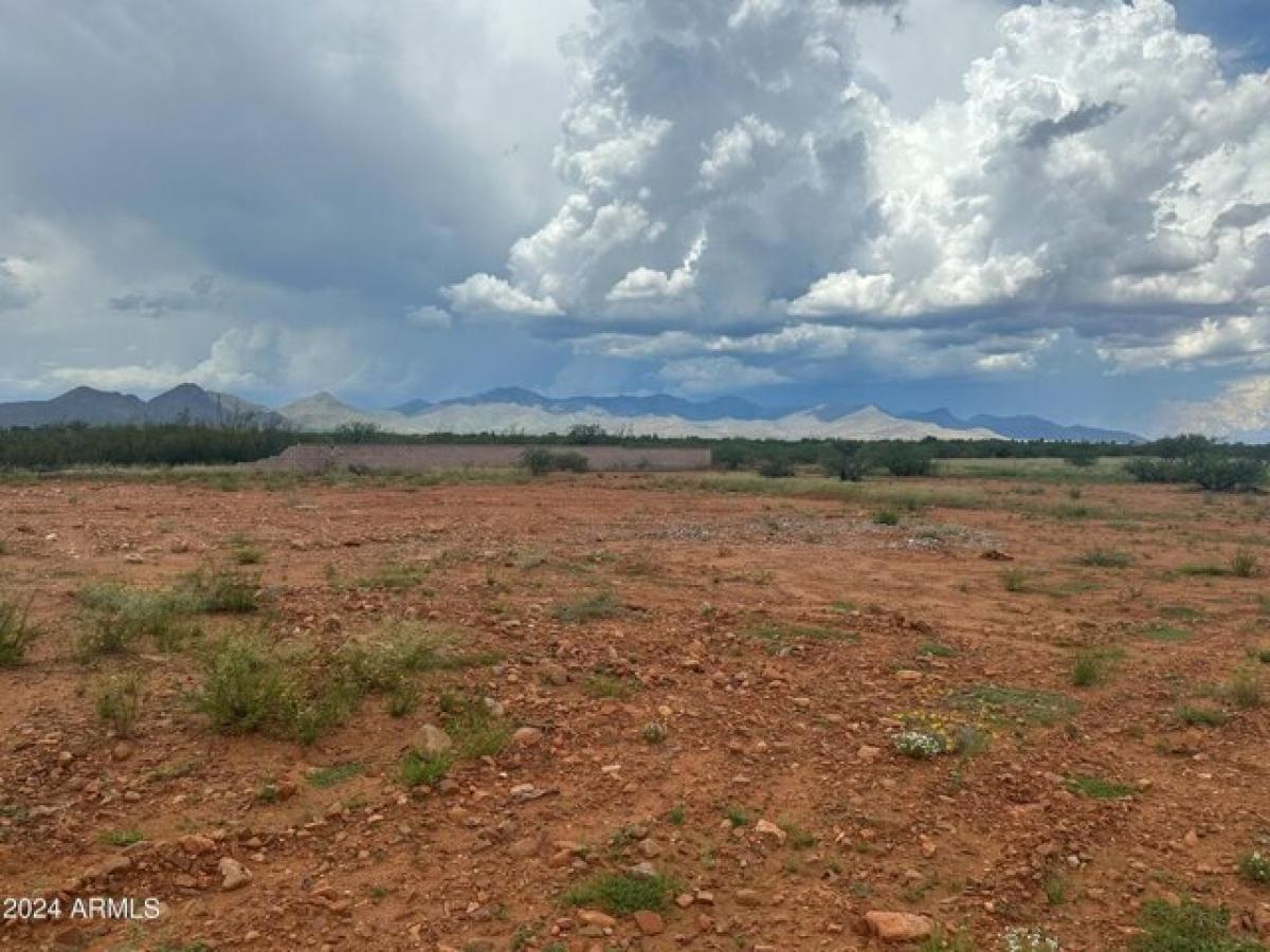 Picture of Residential Land For Sale in Huachuca City, Arizona, United States