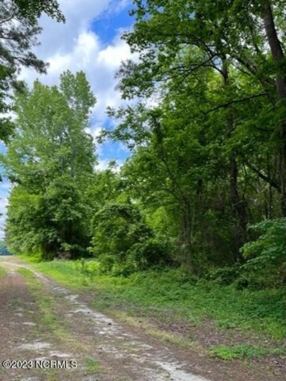 Picture of Residential Land For Sale in Edenton, North Carolina, United States