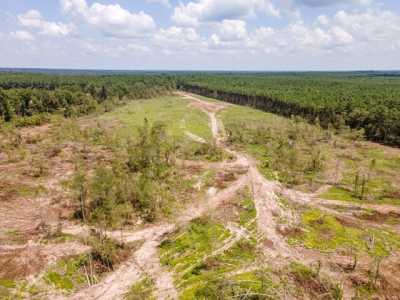 Residential Land For Sale in Apple Springs, Texas