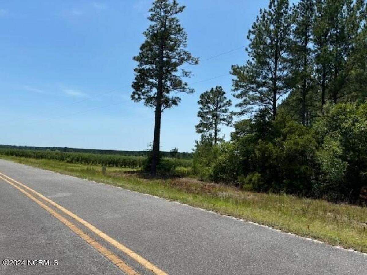 Picture of Residential Land For Sale in Ivanhoe, North Carolina, United States