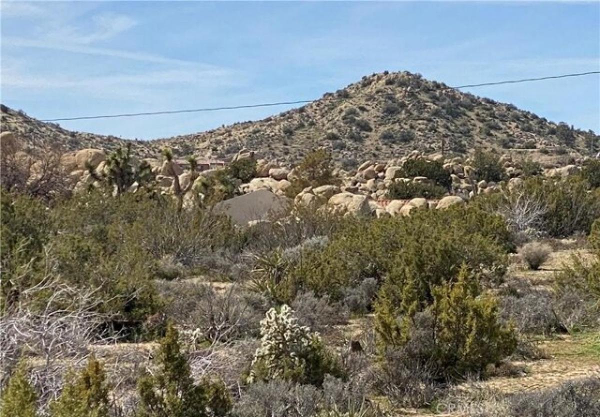 Picture of Residential Land For Sale in Yucca Valley, California, United States