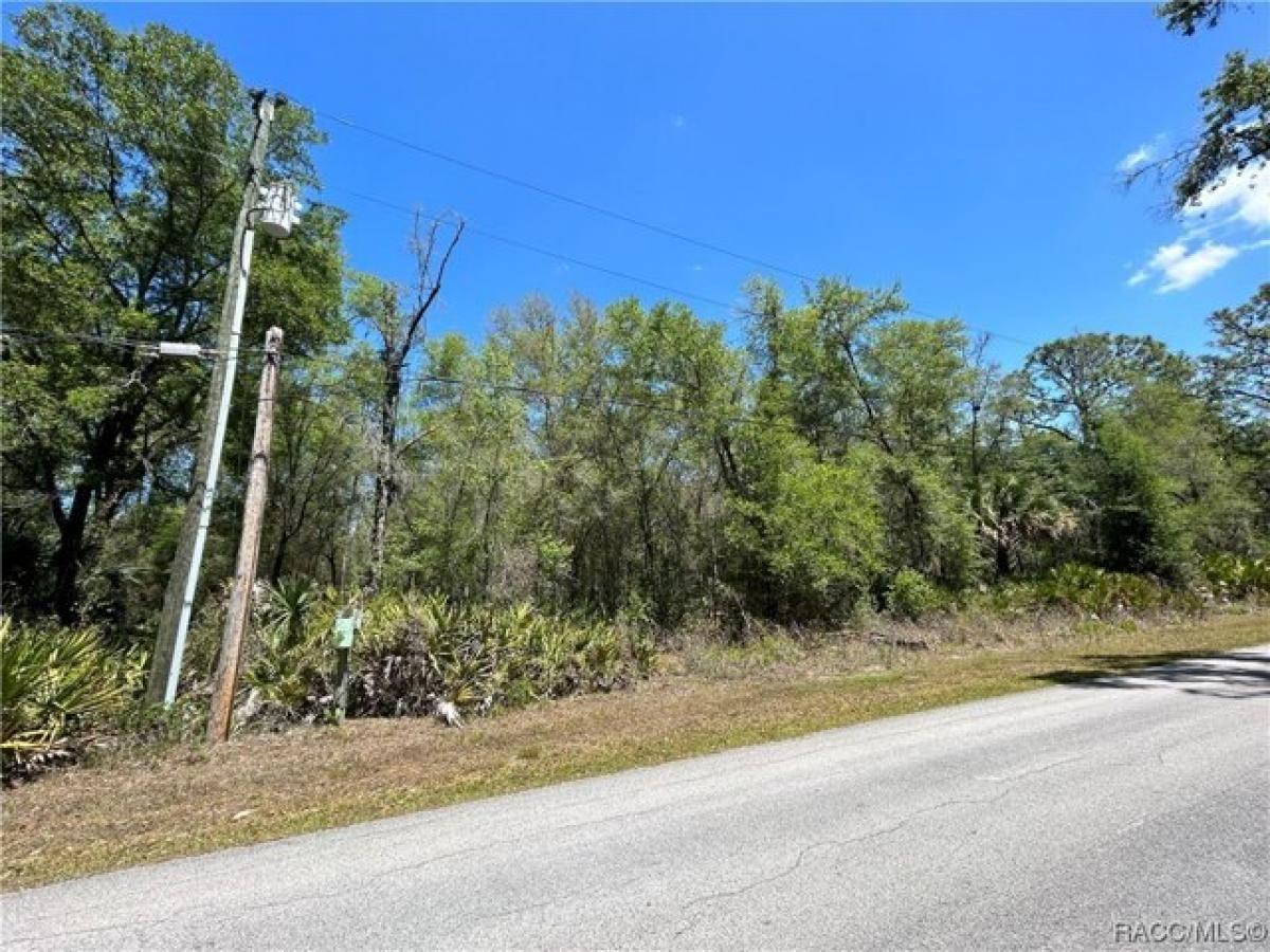 Picture of Residential Land For Sale in Crystal River, Florida, United States