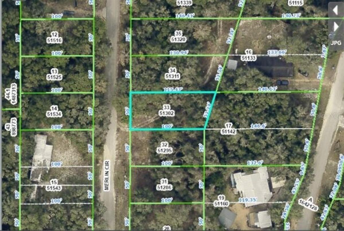 Picture of Residential Land For Sale in Webster, Florida, United States