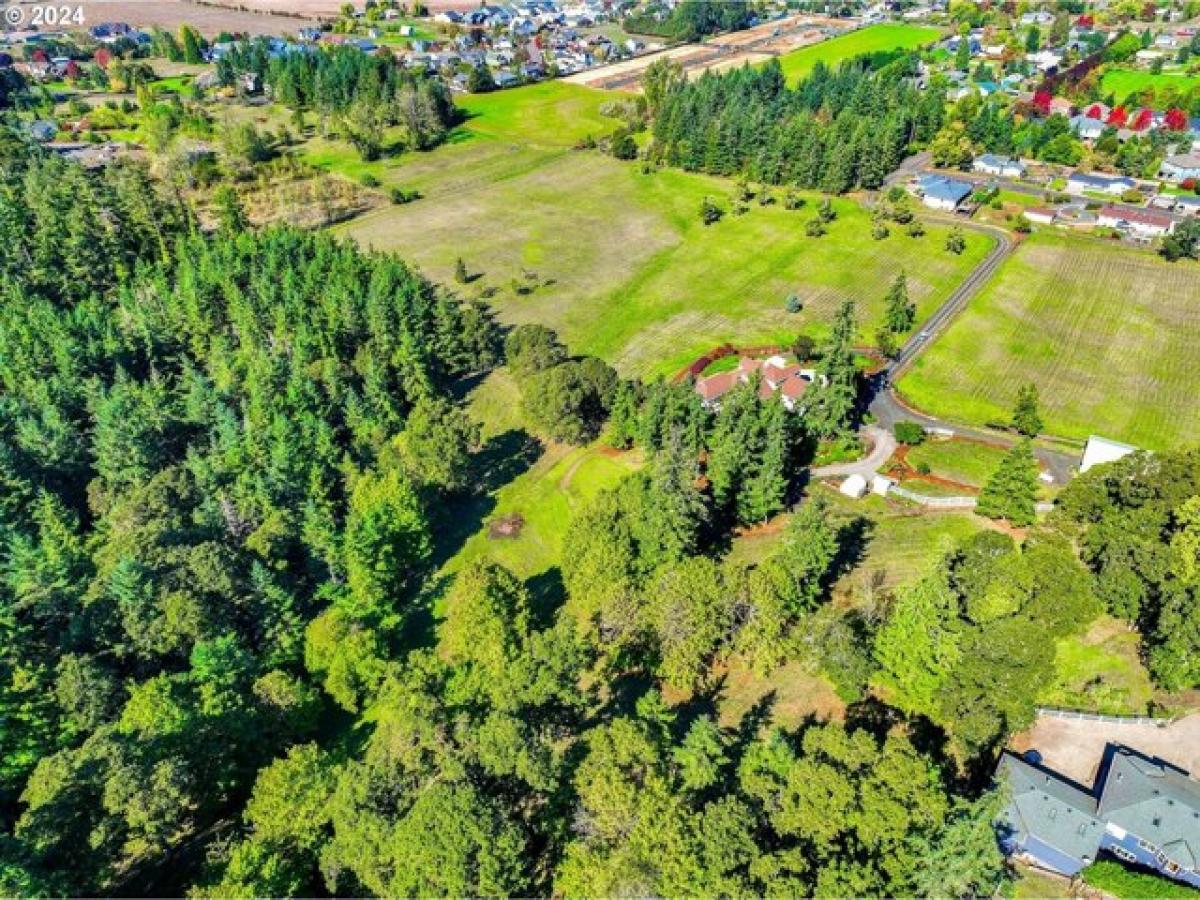 Picture of Residential Land For Sale in Albany, Oregon, United States