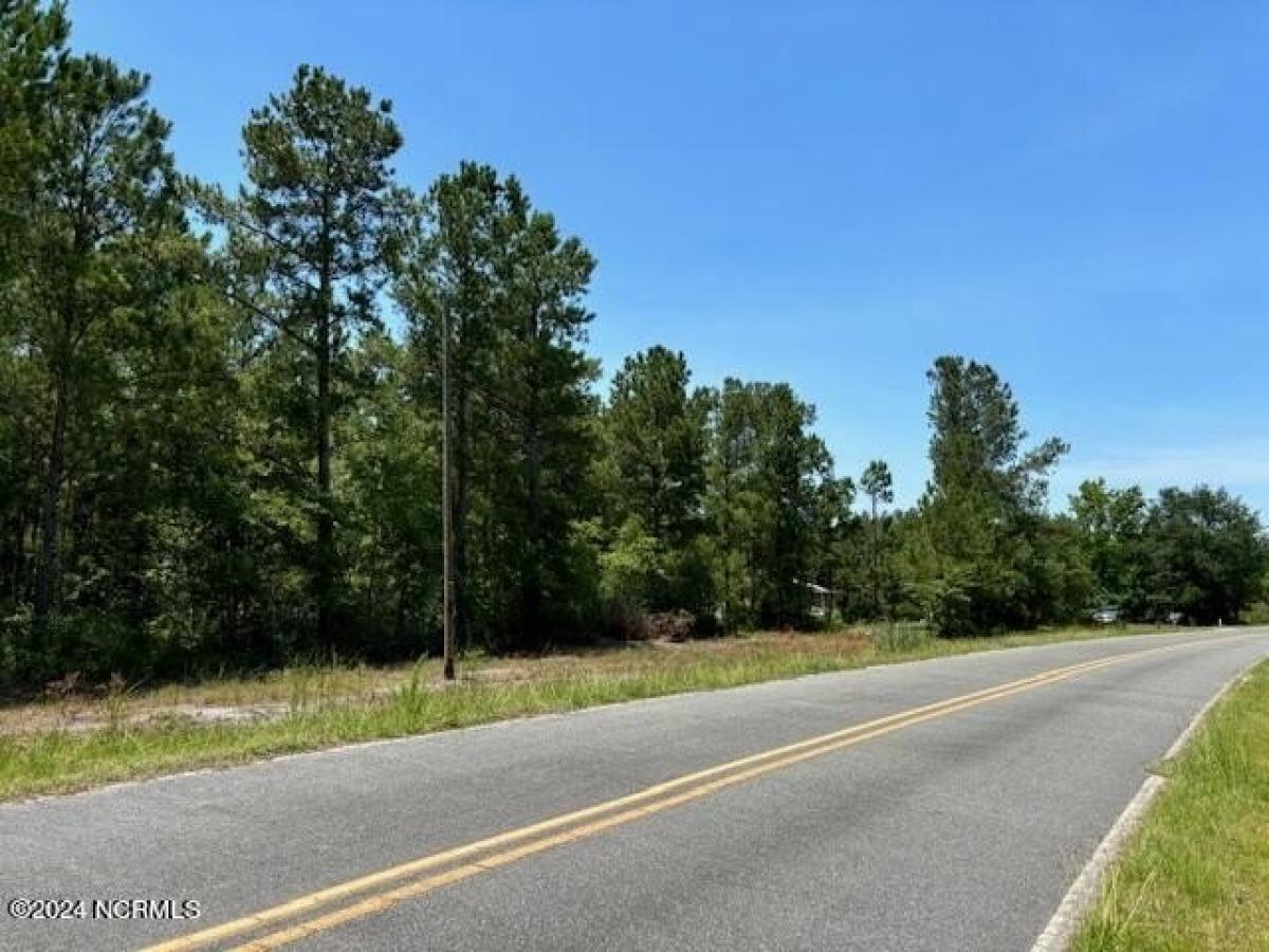 Picture of Residential Land For Sale in Ivanhoe, North Carolina, United States