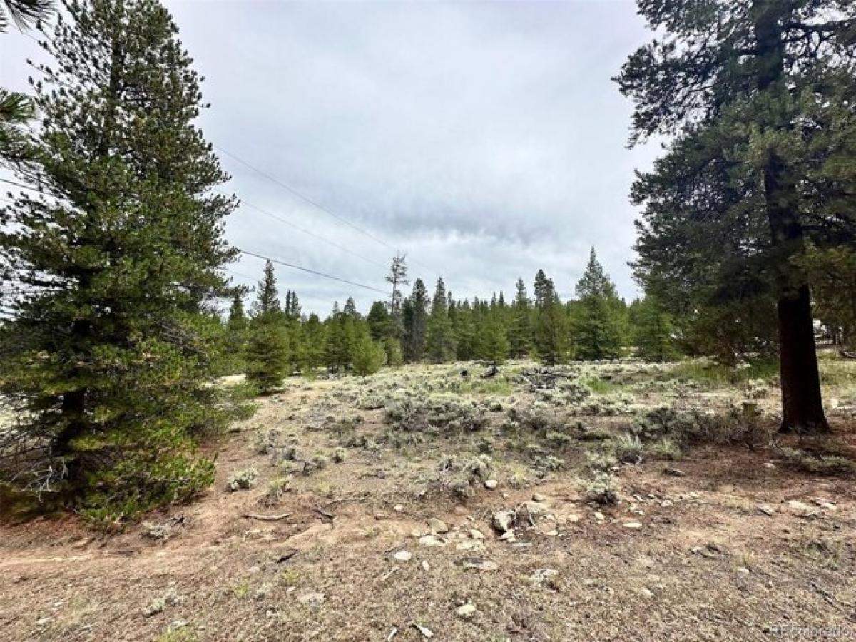 Picture of Residential Land For Sale in Twin Lakes, Colorado, United States