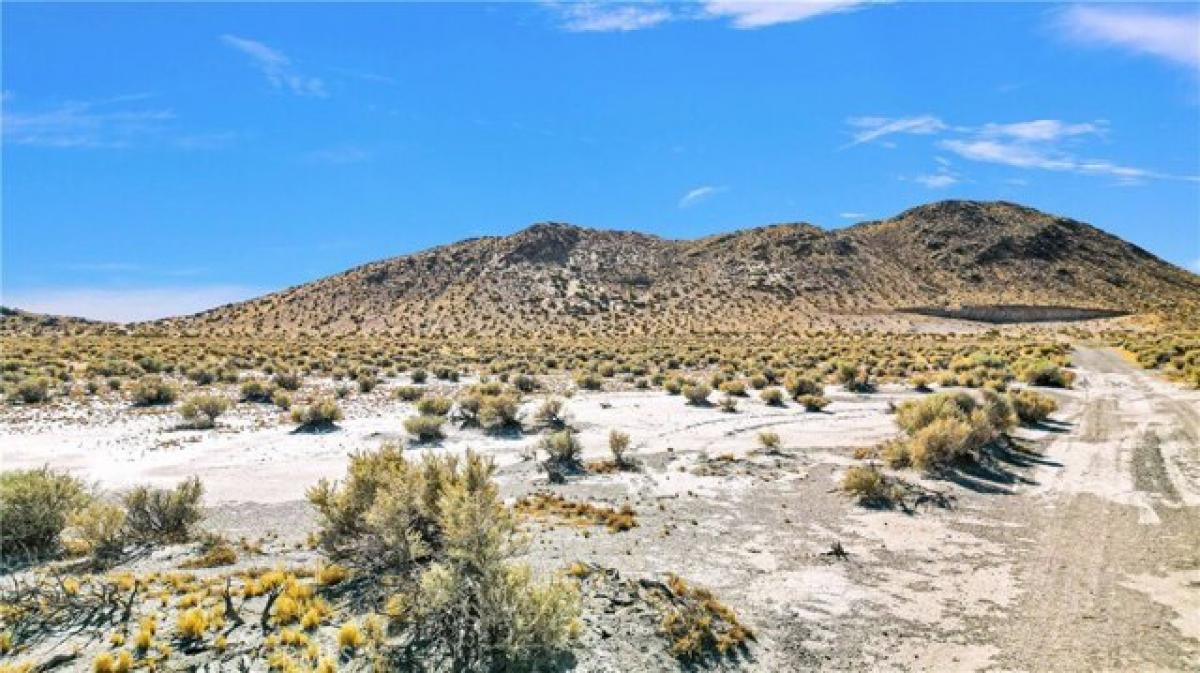 Picture of Residential Land For Sale in Adelanto, California, United States