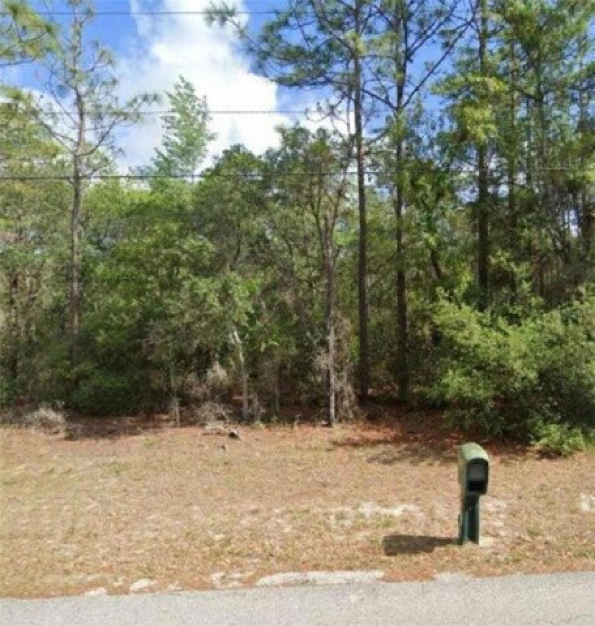 Picture of Residential Land For Sale in Lecanto, Florida, United States