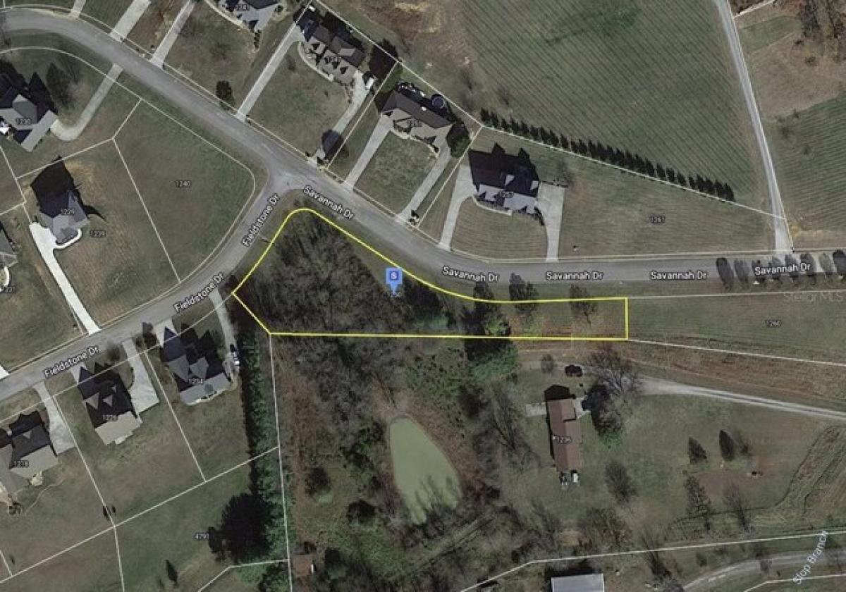 Picture of Residential Land For Sale in Russellville, Tennessee, United States