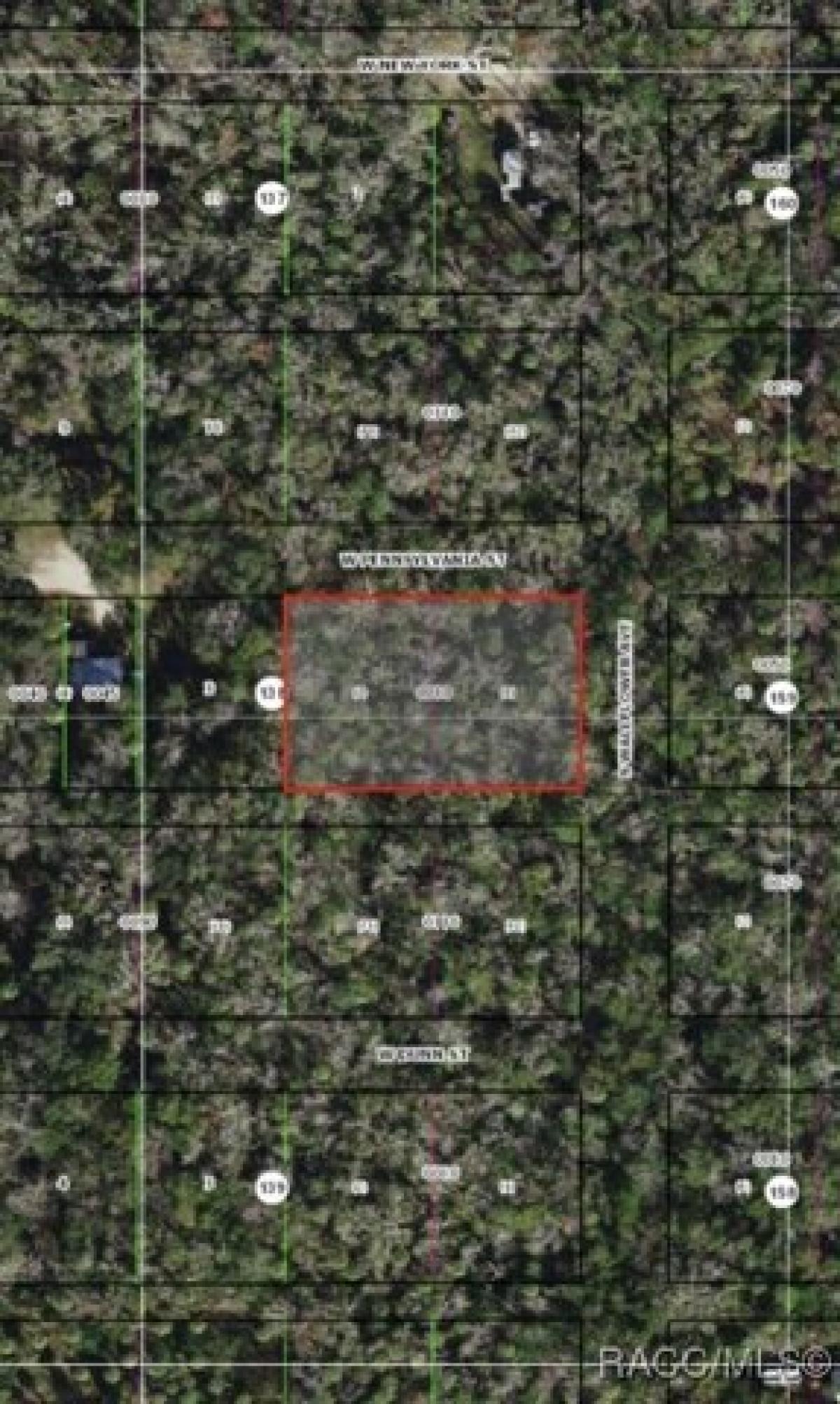 Picture of Residential Land For Sale in Homosassa, Florida, United States