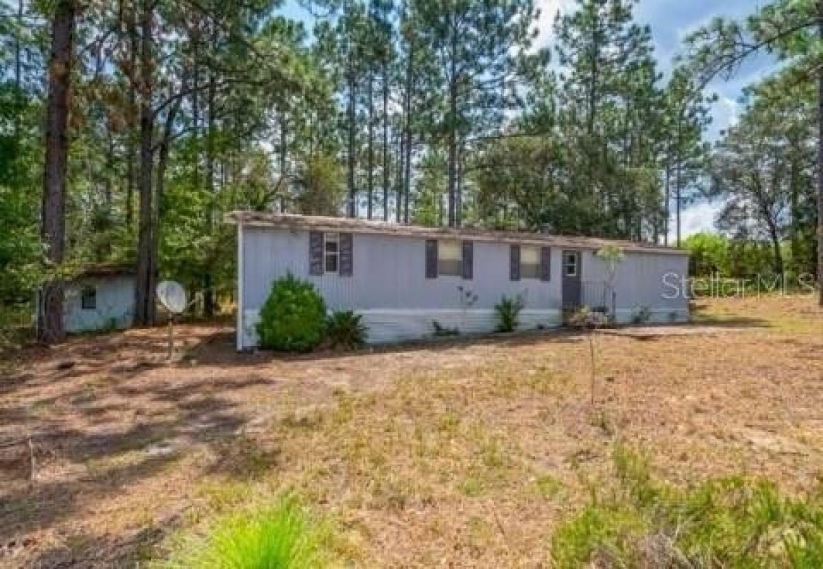 Picture of Home For Sale in Williston, Florida, United States