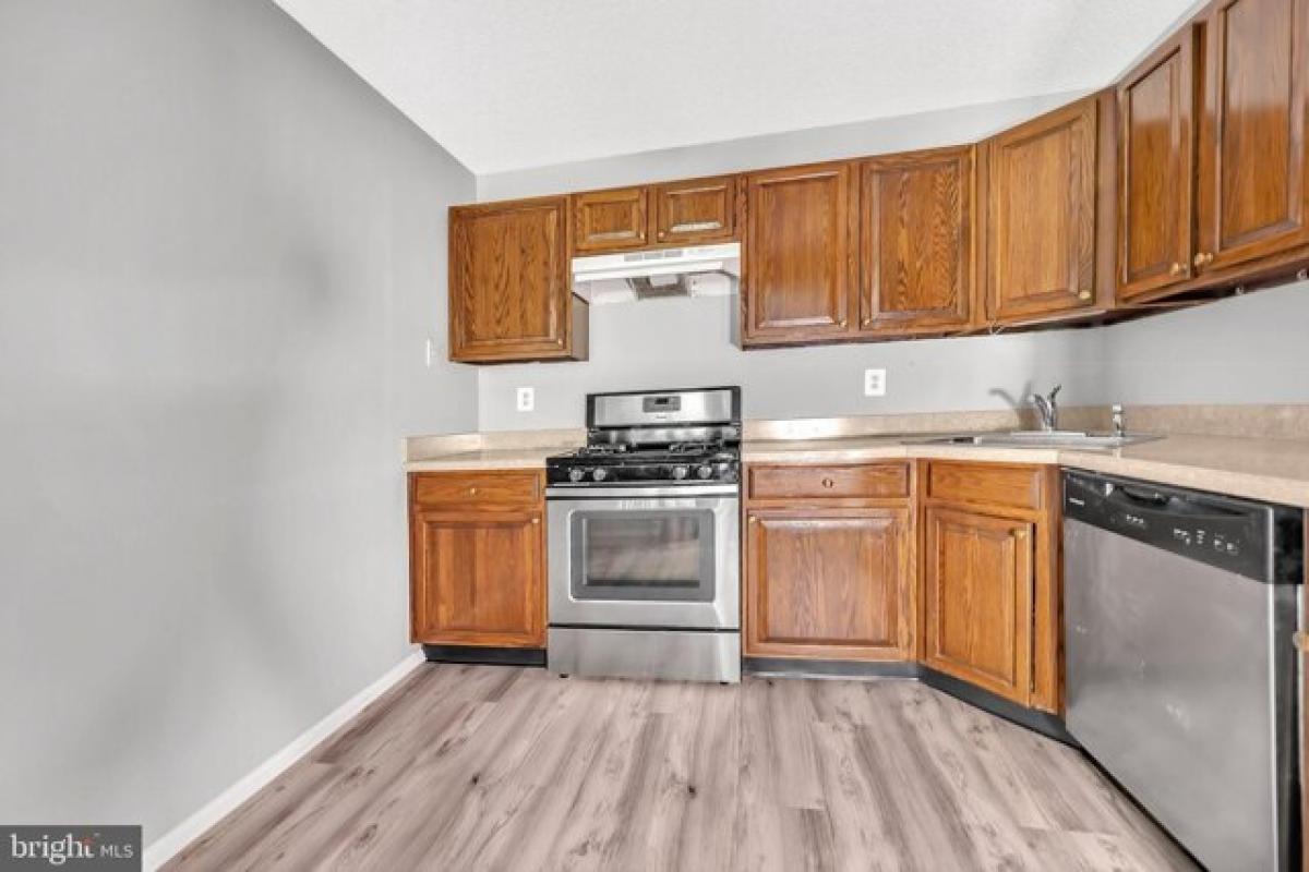 Picture of Apartment For Rent in Trenton, New Jersey, United States