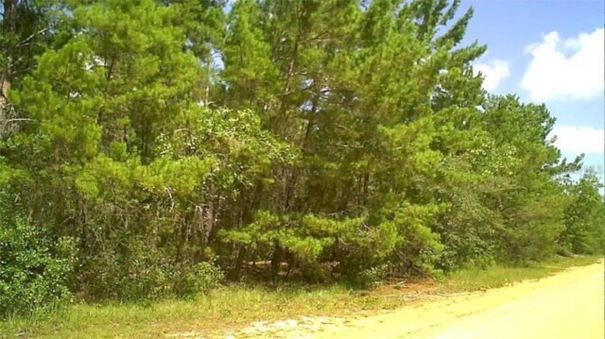 Picture of Residential Land For Sale in Interlachen, Florida, United States