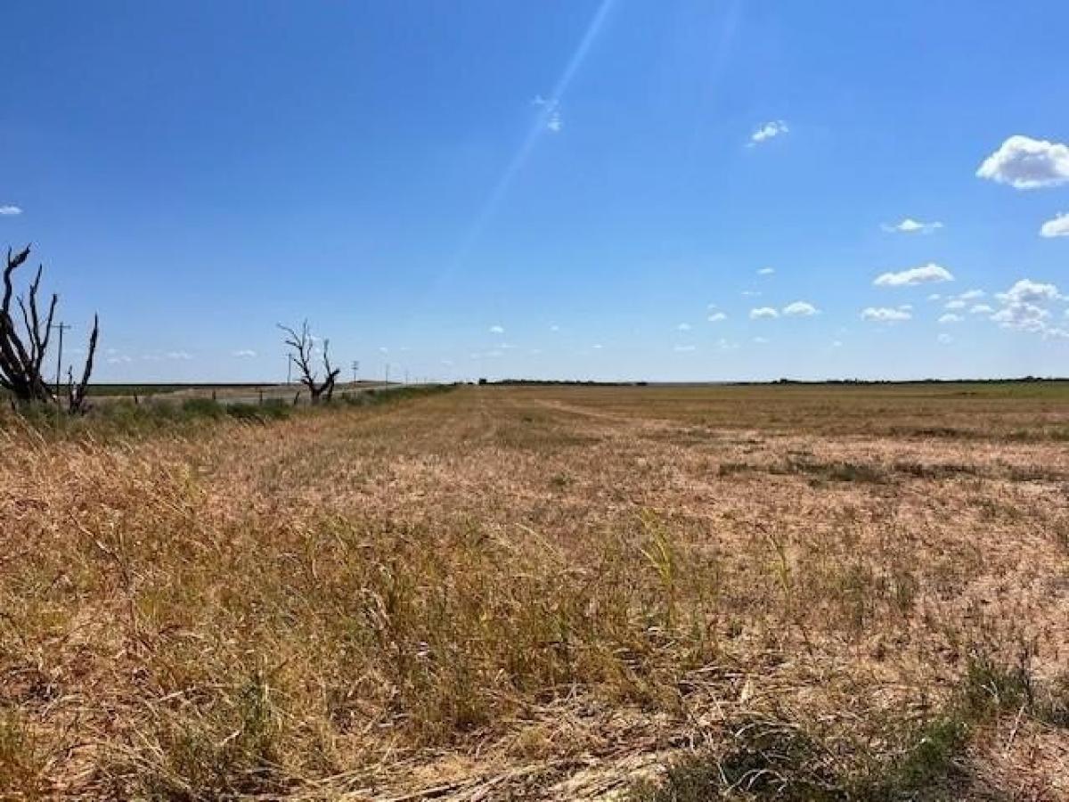 Picture of Residential Land For Sale in Rotan, Texas, United States