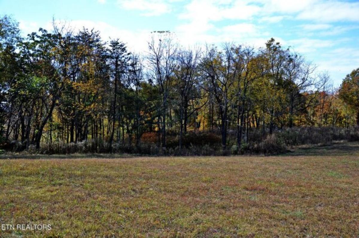 Picture of Residential Land For Sale in Sweetwater, Tennessee, United States