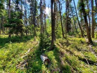 Residential Land For Sale in 