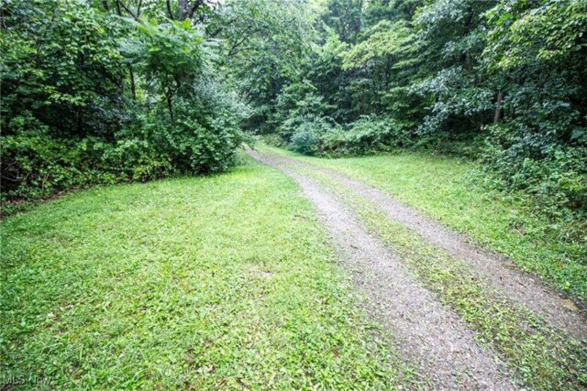 Picture of Residential Land For Sale in Cadiz, Ohio, United States