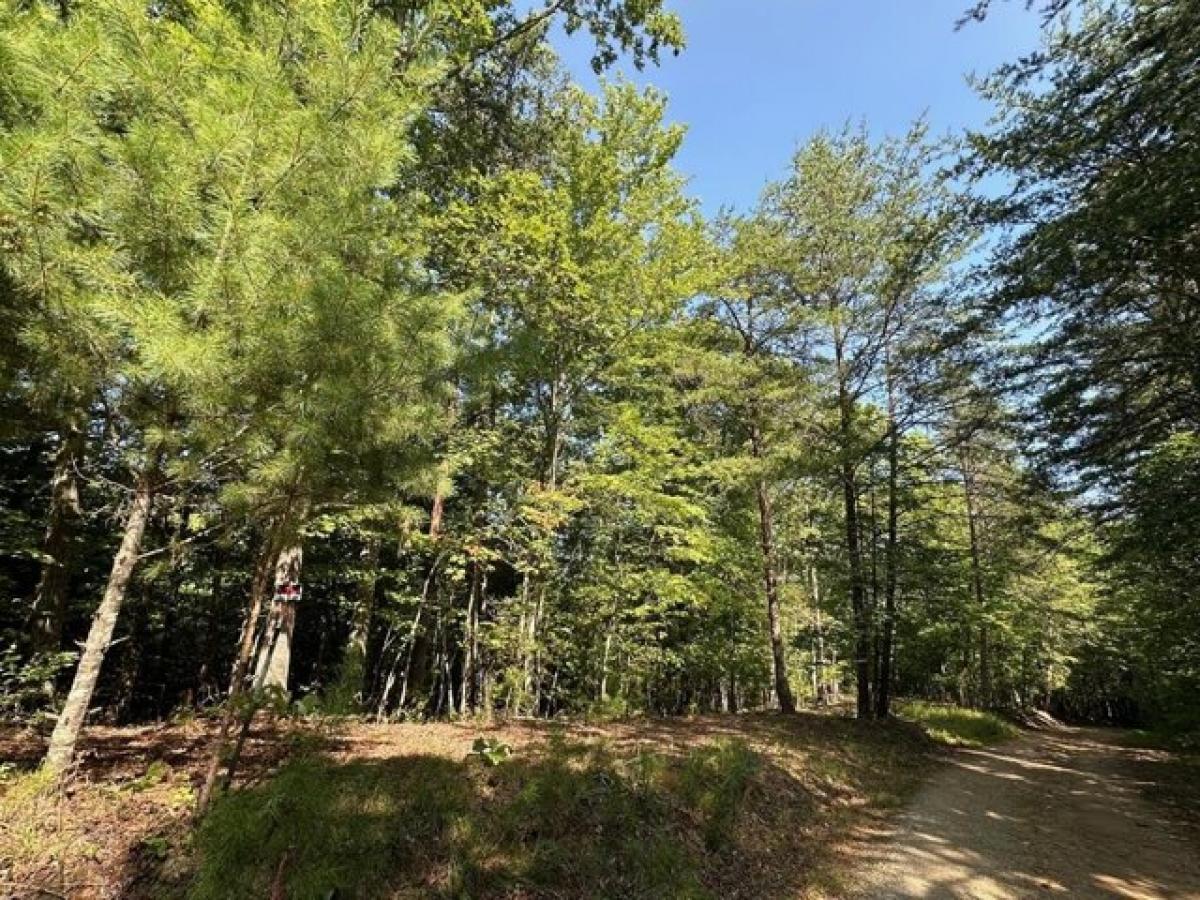 Picture of Residential Land For Sale in Mineral Bluff, Georgia, United States