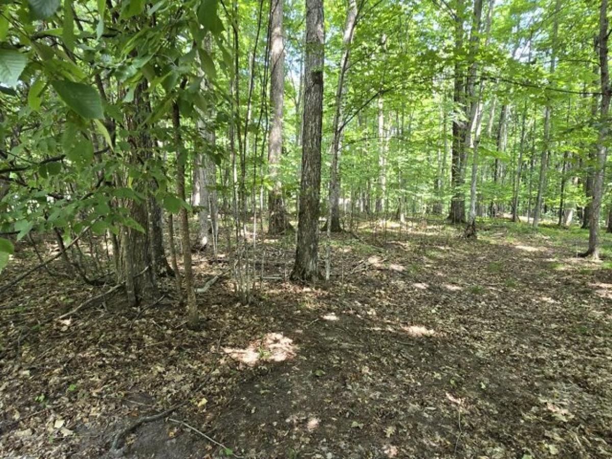 Picture of Residential Land For Sale in Vanderbilt, Michigan, United States