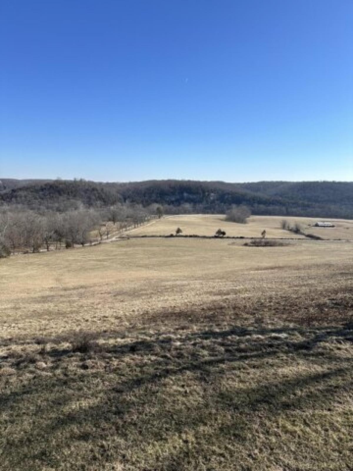 Picture of Residential Land For Sale in Galena, Missouri, United States