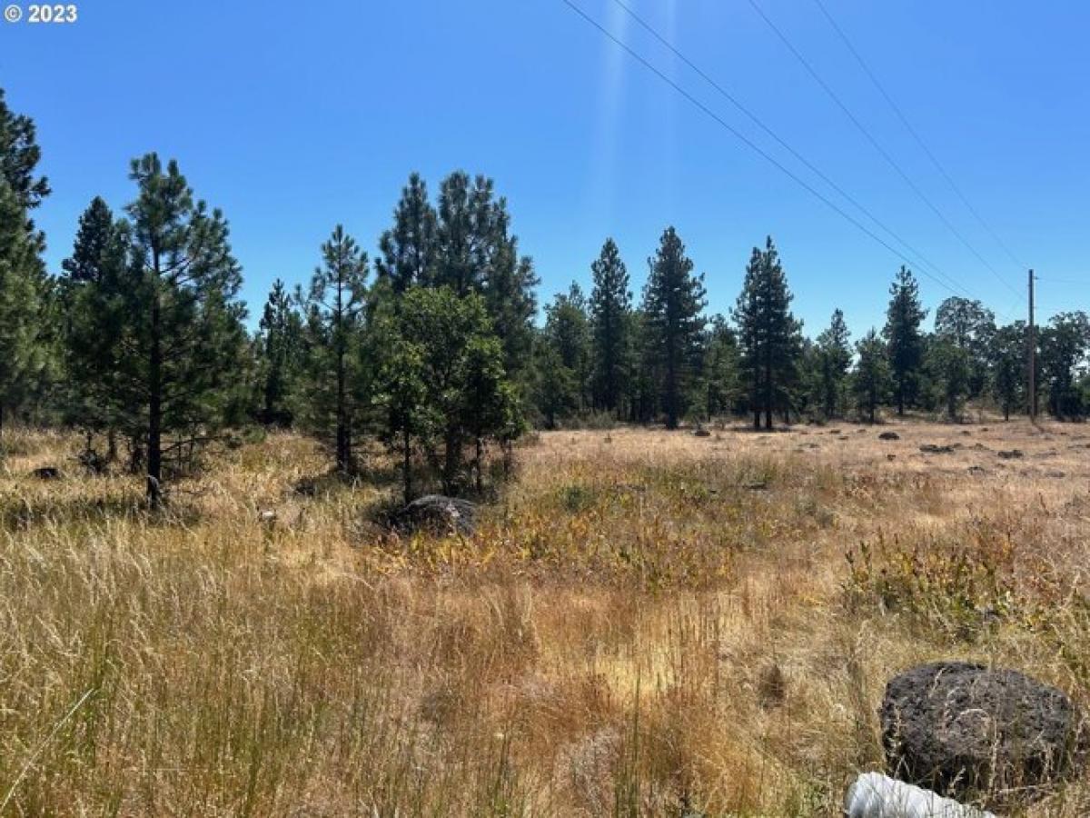 Picture of Residential Land For Sale in Goldendale, Washington, United States